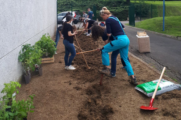 Plantation de la haie au lycée des Haberges © DR